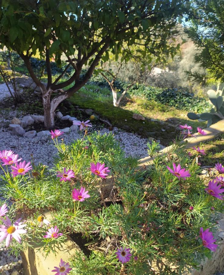 Onur Motel Faralya Fethiye Екстер'єр фото